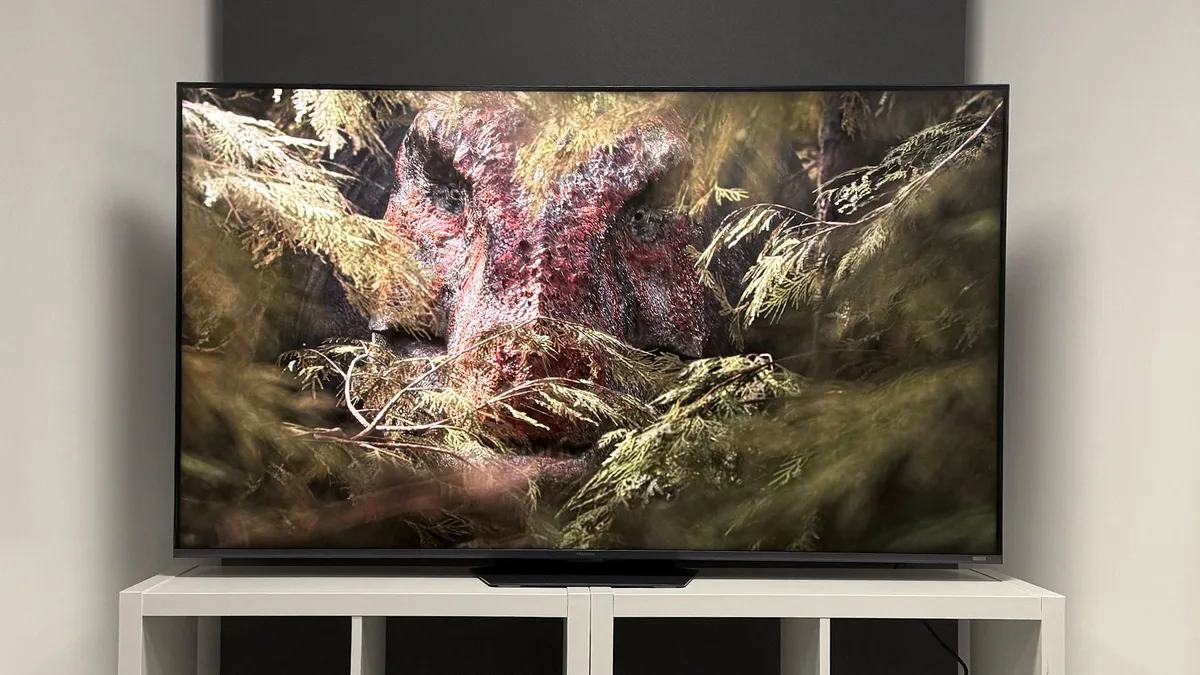  Quick! This remarkably watchable RGB Mini LED TV is half price 