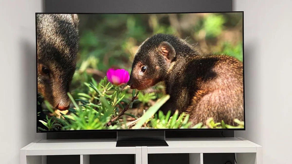  You can save £525 on Sony’s brand-new flagship RGB Mini LED – but there’s a catch 